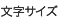 文字サイズ